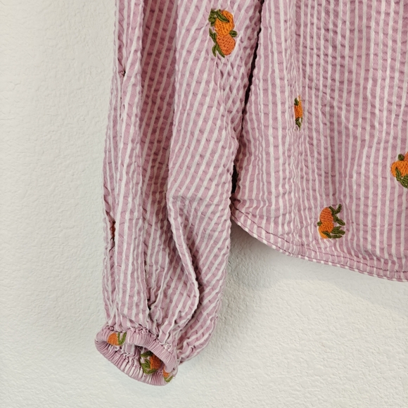Anthropologie Maeve Embroidered Button down Shirt In Assorted Fruit Striped LG - Picture 4 of 15